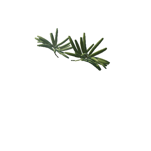 ROSEMARY LEAFES